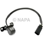 Park Assist Camera