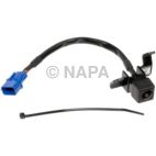 Park Assist Camera