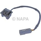 Park Assist Camera