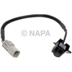 Park Assist Camera