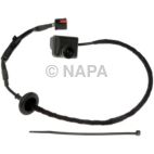 Park Assist Camera