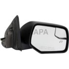 Door Mirror