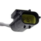 Engine Crankshaft Position Sensor