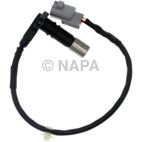 Engine Crankshaft Position Sensor