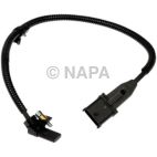 Engine Crankshaft Position Sensor
