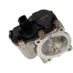 Fuel Injection Throttle Body