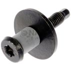 Tailgate Striker Bolt