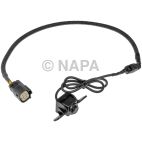 Park Assist Camera