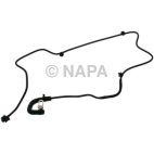 Radiator Coolant Hose