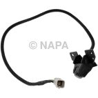 Park Assist Camera