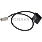 Park Assist Camera