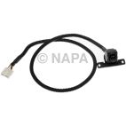 Park Assist Camera