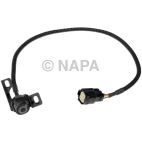 Park Assist Camera