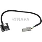 Park Assist Camera