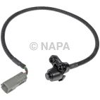 Park Assist Camera