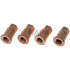 Exhaust Manifold Nut