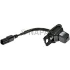Park Assist Camera