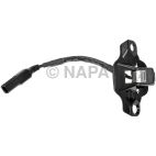 Park Assist Camera