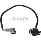 Park Assist Camera