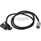 Park Assist Camera