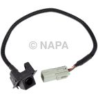 Park Assist Camera