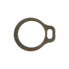 Snap Ring