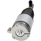Air Spring - Suspension