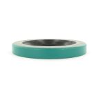 Oil Seal - Industrial
