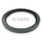 Engine Crankshaft Seal