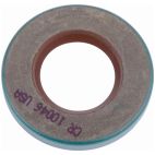 Oil Seal - Industrial