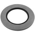 Oil Seal - Industrial