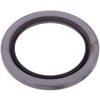 Oil Seal - Ag