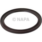 Engine Crankshaft Seal