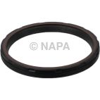 Engine Crankshaft Seal