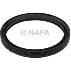 Engine Crankshaft Seal