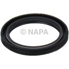 Engine Timing Cover Seal