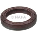 Engine Timing Cover Seal