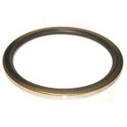 Oil Seal - Industrial