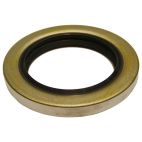 Oil Seal - Industrial