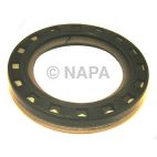 Engine Timing Cover Seal
