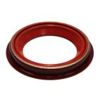Oil Seal - Industrial