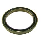 Oil Seal - Industrial