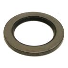 Oil Seal - Industrial