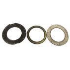 Oil Seal - Industrial