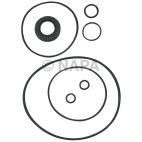 Power Steering Pump Seal Kit