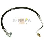 Power Steering Pressure Hose