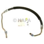 Power Steering Pressure Hose