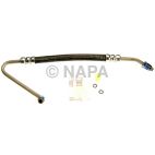 Power Steering Pressure Hose