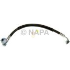 Power Steering Pressure Hose
