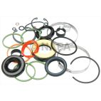 Rack and Pinion Seal Kit